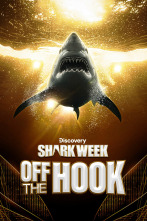 Shark week: fuera de juego