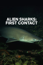 Imagen de Tiburón alien: primer contacto - 1