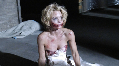 Nip/Tuck, Season 3 (T3): Abby Mays