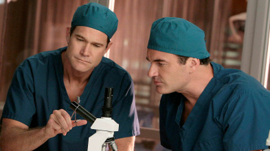 Nip/Tuck, Season 5 (T5): Dr. Joshua Lee