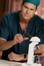 Nip/Tuck, Season 5 (T5): Dr. Joshua Lee