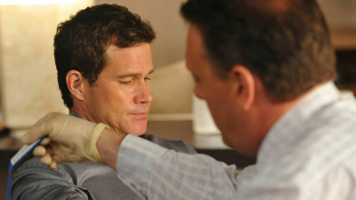 Nip/Tuck, Season 6 (T6): Briggitte Reinholt