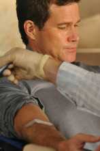 Nip/Tuck, Season 6 (T6): Briggitte Reinholt