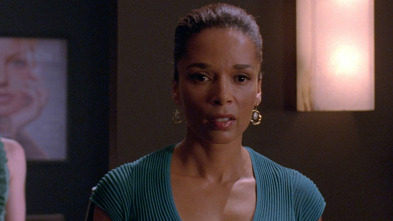 Nip/Tuck, Season 6 (T6): Christian Troy II