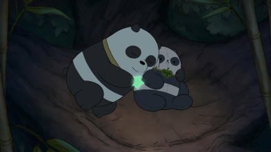 Somos osos (T3): Panda dos
