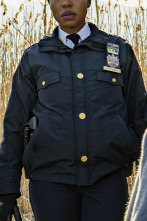 Imagen de East New York (T1): Ep.19 Mayor es la caída - 1