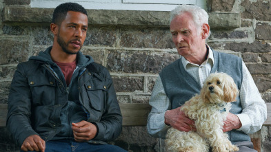 Imagen de Wolf (T1): Ep.6 Toc, toc - 2