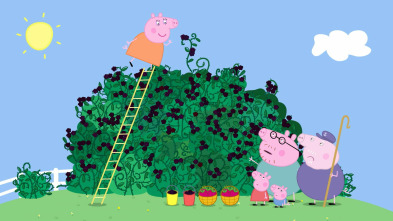 Peppa Pig, Season 4 (T4): La zarzamora