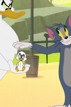 Tom y Jerry en... (T1): Ponle el anillo / Ven a volar conmigo / La crisis del chicle / Mascarada