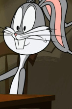 Imagen de New Looney Tunes (T2): Hámsteres / Bolas de patata - 1