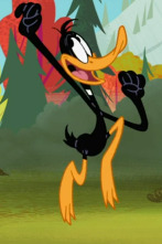 Imagen de New Looney Tunes (T2): Sir Perilla y el Fénix / Luau chiflado - 1