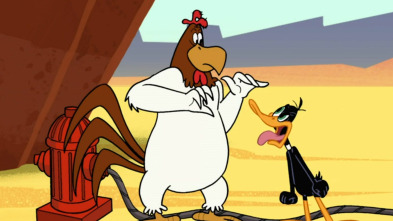 New Looney Tunes (T2): El amor me vuelve pato / Genghis Cal