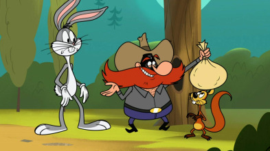 New Looney Tunes,... (T3): Descubriendo el Polo Norte / Un nuevo Sam