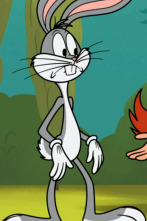 Imagen de New Looney Tunes (T3): Descubriendo el Polo Norte / Un nuevo Sam - 1
