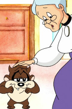 Imagen de Baby Looney Tunes (T1): Taz en juguetelandia - 1