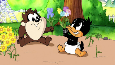 Baby Looney Tunes (T1): Flores al poder