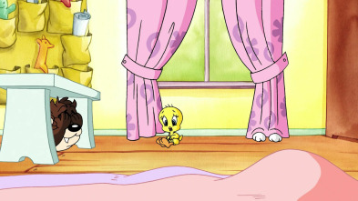 Imagen de Baby Looney Tunes (T1): El pequeño Piolín - 2
