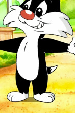 Baby Looney Tunes (T1): Un gato superguay