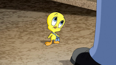 Imagen de Baby Looney Tunes (T2): Encontrando pistas como las de Piolín - 2