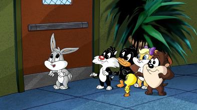 Baby Looney Tunes (T2): Luz, camara, Piolín