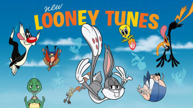 New Looney Tunes, Season 1 (T1)