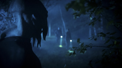 Imagen de Este bosque está... (T3): Lo veo aterrizar - 2