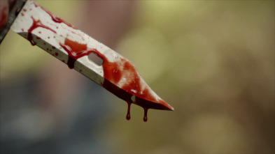 Imagen de Perfil de un...: Asesinos fantasiosos - 2