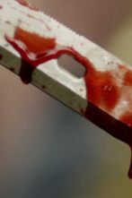 Imagen de Perfil de un...: Asesinos fantasiosos - 1