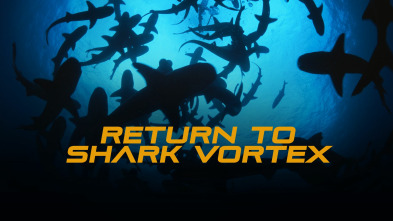 Imagen de Nueva alerta, tiburones - 2