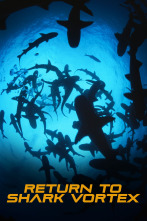 Imagen de Nueva alerta, tiburones - 1
