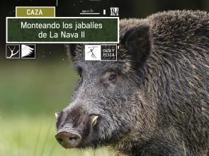 Imagen de Monteando los jabalies de La Nava. 2º Parte - 2