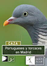Imagen de Portugueses y torcaces en Madrid - 1