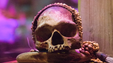 Imagen de Buscadores de... (T19): Ripley's Believe It or Not - 2