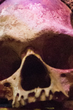 Imagen de Buscadores de... (T19): Ripley's Believe It or Not - 1