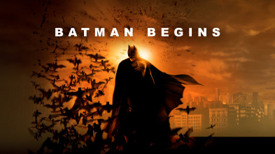 Imagen de Batman Begins - 4