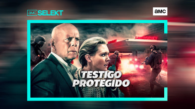 Testigo protegido