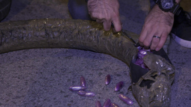 Imagen de Control de... (T5): Ep.8 - 2