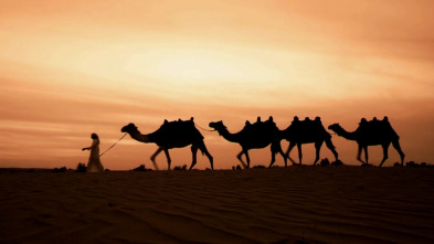 Imagen de ¿Cómo lo hacen? Mundo...: Hámsters atrevidos y jorobas de camellos - 2