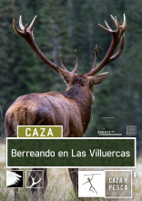Imagen de Berreando en Las Villuercas - 1