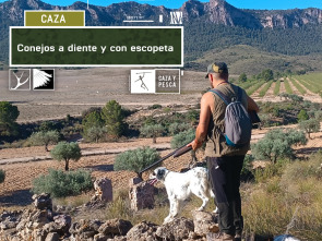 Imagen de Conejos a diente y con escopeta - 2