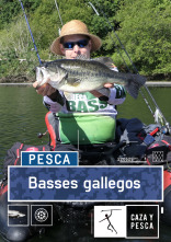Imagen de Basses gallegos - 1