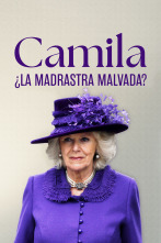 Imagen de Camila: ¿La madrastra malvada? - 1