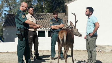 Seprona en acción, Season 2: Ep.4