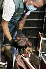 Imagen de Seprona en acción: Ep.6 - 1