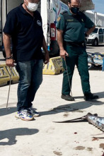 Imagen de Seprona en acción: Ep.8 - 1
