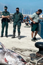 Imagen de Seprona en acción: Ep.16 - 1