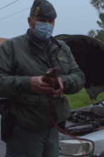 Imagen de Seprona en acción: Ep.9 - 1