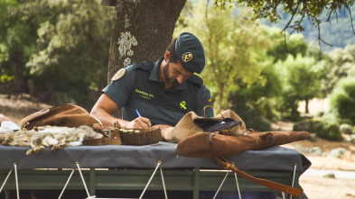 Imagen de Seprona en acción: Ep.16 - 2
