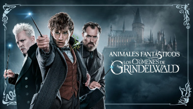 Imagen de Animales fantásticos: Los crímenes de Grindelwald - 4
