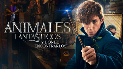 Imagen de Animales fantásticos y dónde encontrarlos - 4
